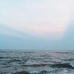 a salmon jumping in a waterfall.